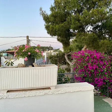 Sea View 아파트 *